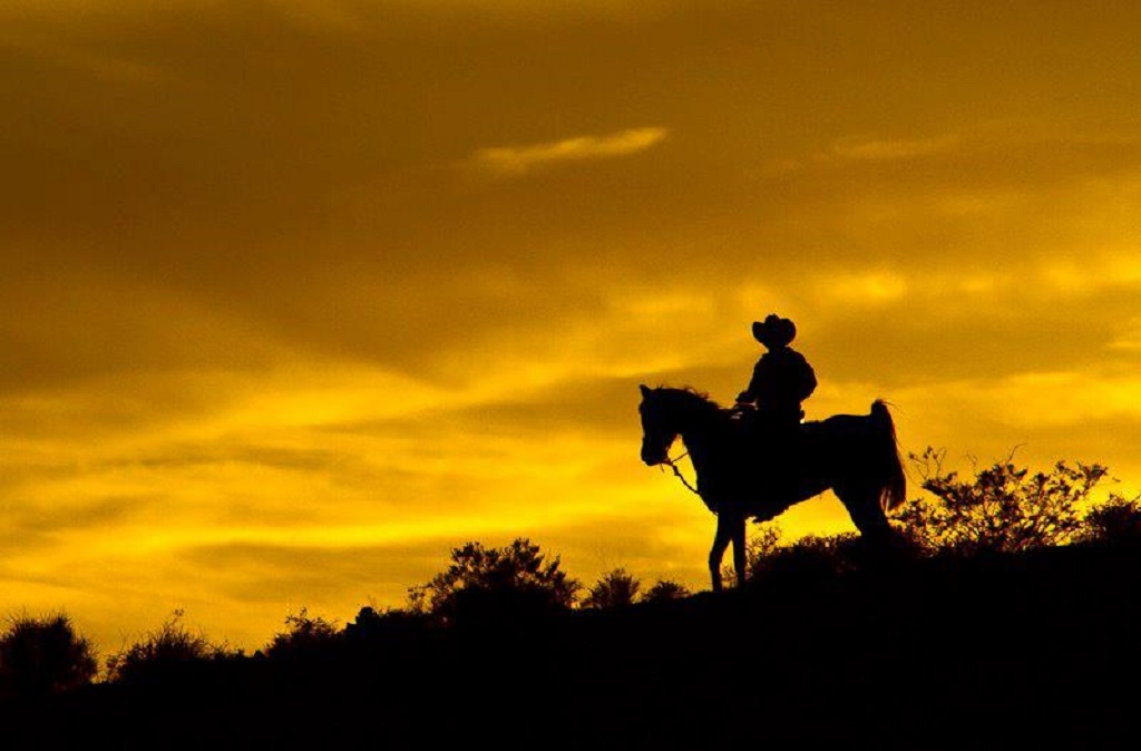 The Wild Wild West Sunset Dinner - Horseback Ride